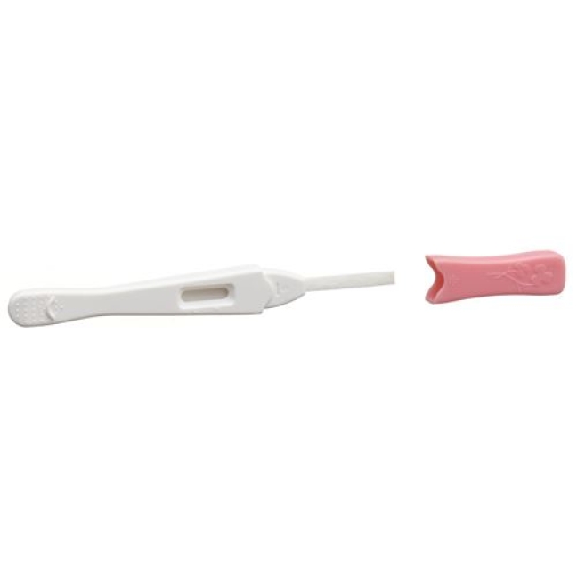 Ind Hcg Midstream Pregnancy Test Mini