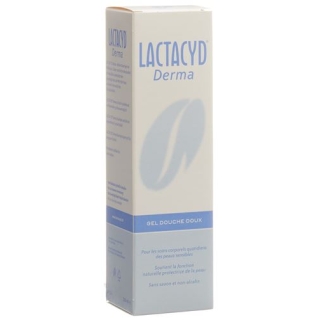 Lactacyd Derma Mildes Dusch-Gel 250мл