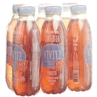 VIVITZ BIO TEE EASY FRUITS