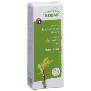 HEIDAK KN FEIGE FICUS GLYCERIN