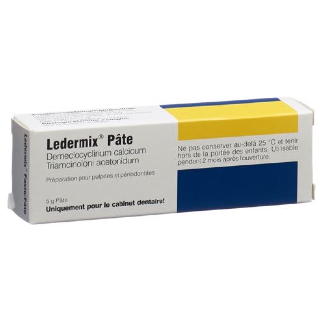 Ledermix 5 g Paste