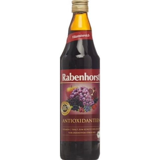 RABENHORST ANTIOXID SAFT BIO