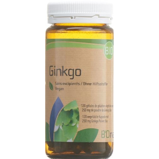 BIONATURIS GINKGO 250 MG FL 12