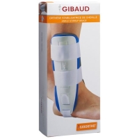 GIBORTHO KNOECH STABIL EINH GR GIBORTHO KNOECH STABIL EINH GR