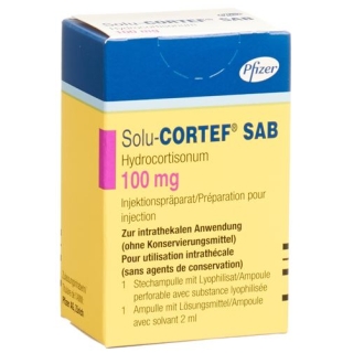 SOLU CORTEF SAB 100MG STEC