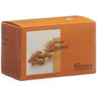 SIDROGA TEE INGWER