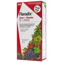 Floradix Vitamine + organisches Eisen Saft Flasche 500мл