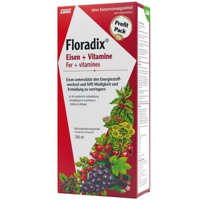 Floradix Vitamine + organisches Eisen Saft Flasche 700мл