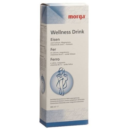 MORGA WELLNESS DRINK EISEN