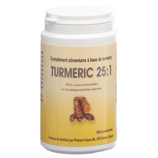 TURMERIC 25:1 TABL 250 MG 300