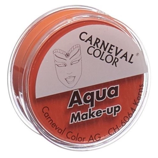 CARNEVAL COLOR AQUA MAKE ORANG