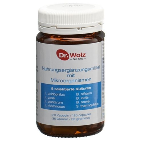 Dr. Wolz Microorganismen в капсулах 120 штук