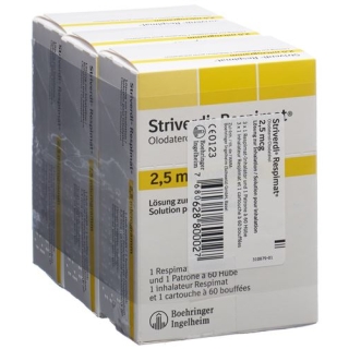 STRIVERDI RESPIMAT 2.5MCG/HUB