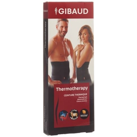 GIBAUD NIEREN THERM L 25CM ANT