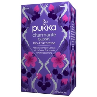 PUKKA CHARMANTE CASSIS TEE BIO