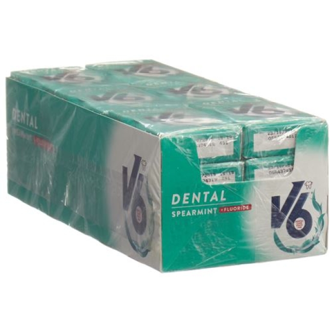 V6 DENT CARE KAUGUMMI SPEARMIN