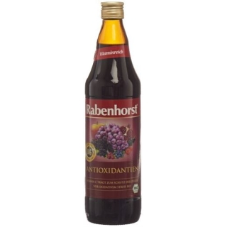 RABENHORST ANTIOXID SAFT BIO