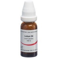 OMIDA LEDUM 6D OMIDA LEDUM 6D