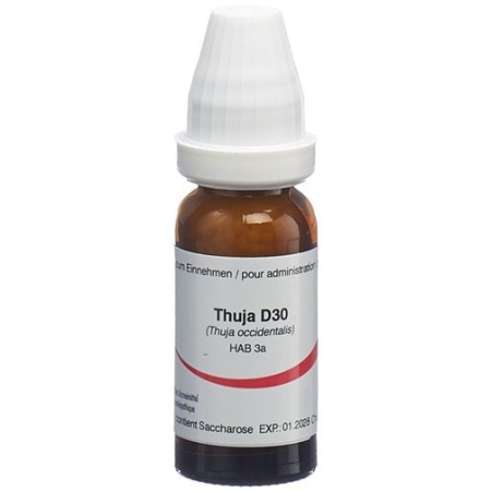 OMIDA THUJA GLOB D 30 14 G