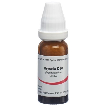 OMIDA BRYONIA GLOB D 30 14