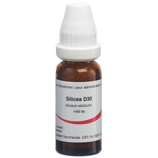 OMIDA SILICEA GLOB D 30 2