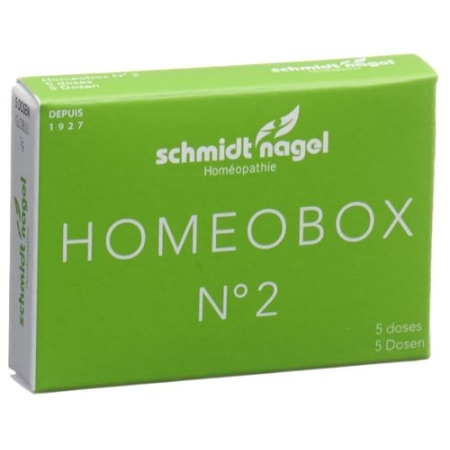 SN HOMEOBOX 2 GLOB