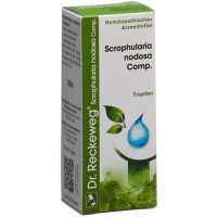 RECKEWEG R17 SCROPHULAR NO RECKEWEG R17 SCROPHULAR NO