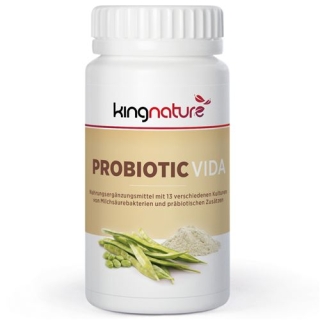 KINGN PROBIOTIC VIDA