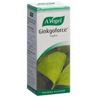 VOGEL GINKGOFORCE