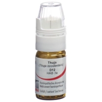 Omida Thuja шарики D 12  4г Omida Thuja шарики D 12  4г