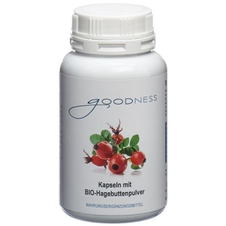 GOODNESS HAGEBUTTENPLV 600MG