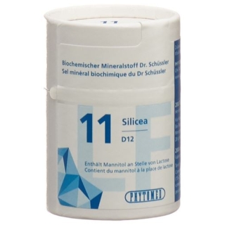 Phytomed Schüssler Nr. 11 Tabletten D 12 Lactosefrei 2000 Stück