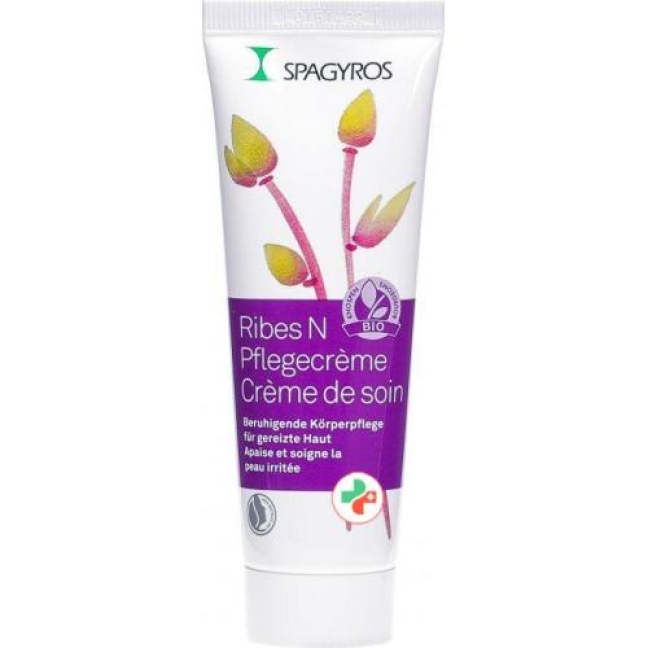 Spagyros Ribes N Pflegecreme в тюбике 50мл