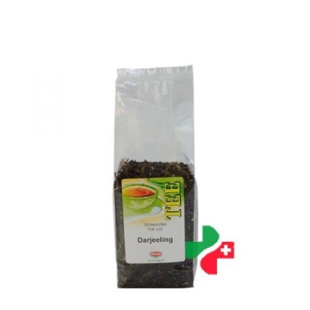 MORGA TEE DARJEELING