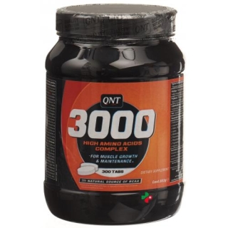 QNT AMINO ACID 3000