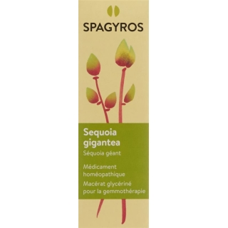 SPAGYROS GEMMO Sequoia gigant Glyc Maz D 4