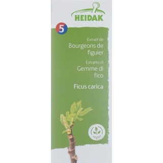 HEIDAK Bud Fig Ficus carica Glyc Maz