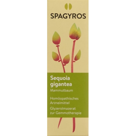 SPAGYROS GEMMO Sequoia gigant Glyc Maz D 4