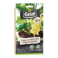 GESAL Trauermücken-Falle Bio