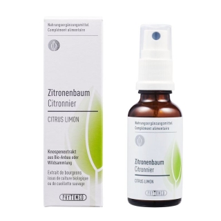 PHYTOMED Knospenextrakt Zitronenbaum