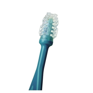 Babyono toothbrush set 3 brushes