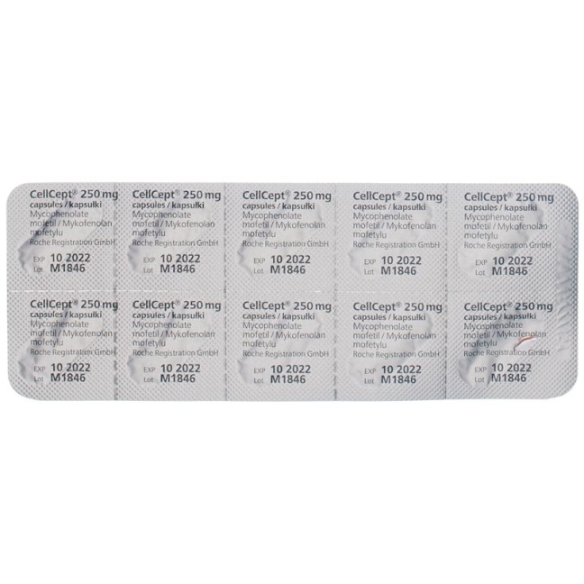 Cellcept (pi) Kapseln 250mg 100 Stück