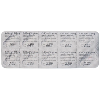 Cellcept (pi) Kapseln 250mg 300 Stück