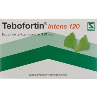 Tebofortin Intens 120 Filmtabletten 120mg 30 Stück