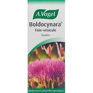 Vogel Boldocynara Leber-Galle Tropfen Flasche 50ml