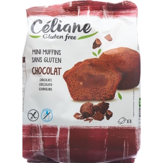 Alternis Moelleux Fondant Chocolat 210g