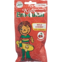 Soldan Em-eukal Kids Черешня в пакетиках без сахара 75 г Soldan Em-eukal Kids Черешня в пакетиках без сахара 75 г