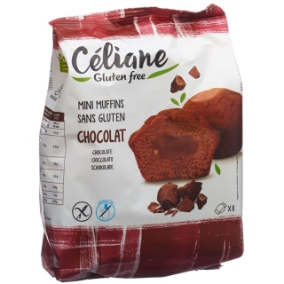 Alternis Moelleux Fondant Chocolat 210g