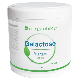 Energybalance Galactose Pulver Hochrein Dose 250g