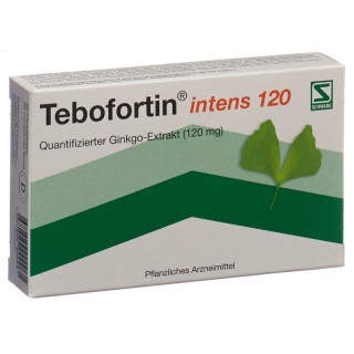 Tebofortin Intens 120 Filmtabletten 120mg 30 Stück